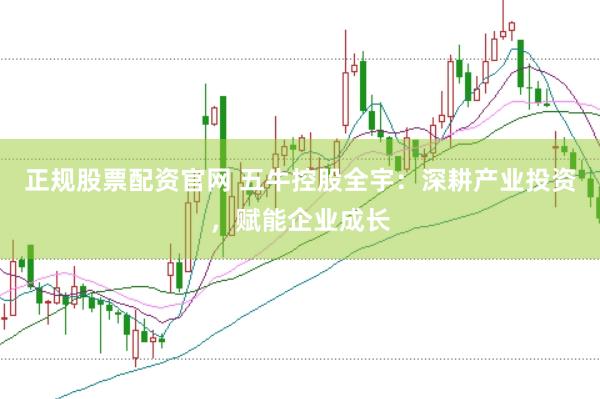 正规股票配资官网 五牛控股全宇：深耕产业投资，赋能企业成长