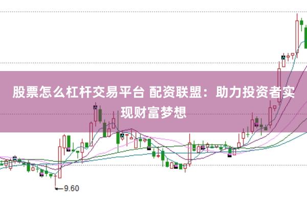 股票怎么杠杆交易平台 配资联盟：助力投资者实现财富梦想