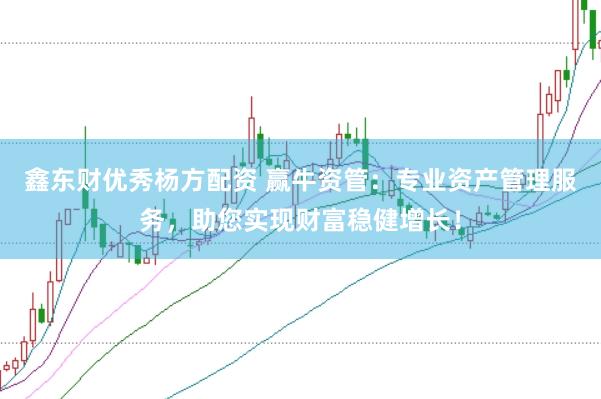 鑫东财优秀杨方配资 赢牛资管：专业资产管理服务，助您实现财富稳健增长！