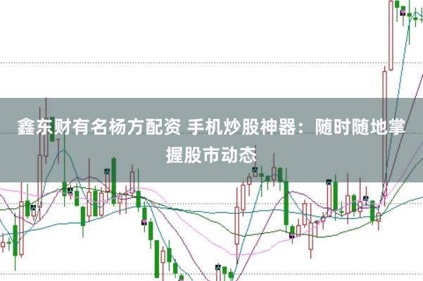 鑫东财有名杨方配资 手机炒股神器：随时随地掌握股市动态