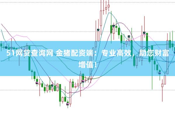 51网贷查询网 金猪配资端：专业高效，助您财富增值！