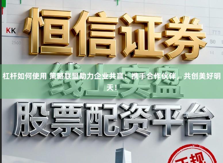 杠杆如何使用 策略联盟助力企业共赢：携手合作伙伴，共创美好明天！