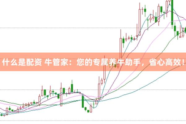 什么是配资 牛管家：您的专属养牛助手，省心高效！