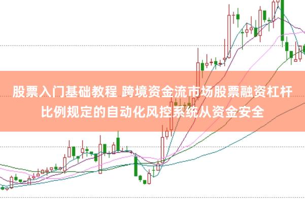 股票入门基础教程 跨境资金流市场股票融资杠杆比例规定的自动化风控系统从资金安全
