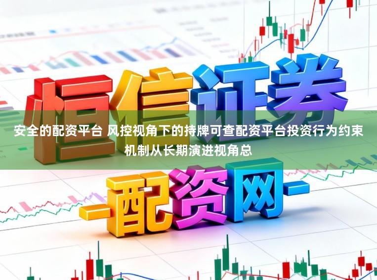 安全的配资平台 风控视角下的持牌可查配资平台投资行为约束机制从长期演进视角总
