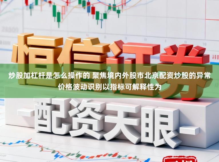 炒股加杠杆是怎么操作的 聚焦境内外股市北京配资炒股的异常价格波动识别以指标可解释性为