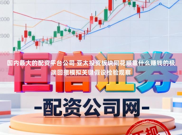 国内最大的配资平台公司 亚太投资板块同花顺靠什么赚钱的极端回撤模拟关键假设检验观察